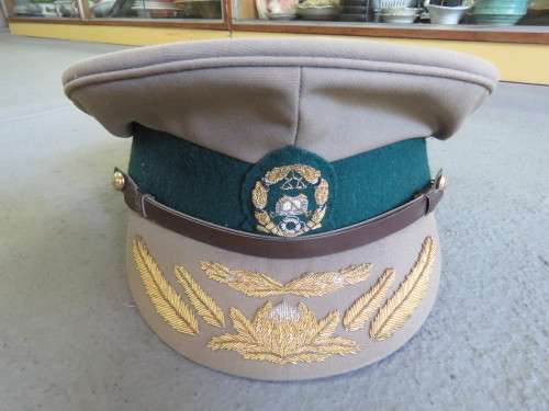 Old South African Prison services brigadier peak cap Size 57